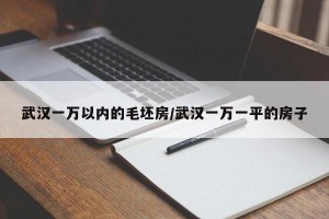 武汉一万以内的毛坯房/武汉一万一平的房子