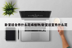 卧室适合养什么花或植物/卧室适宜养什么花