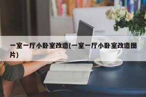 一室一厅小卧室改造(一室一厅小卧室改造图片)
